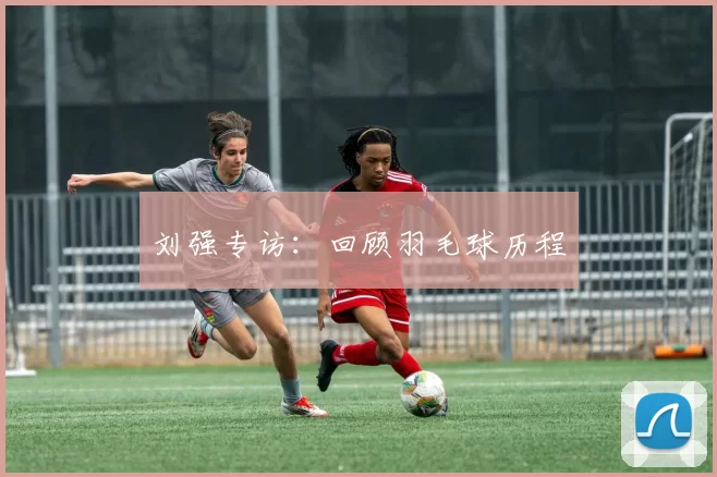 刘强专访：回顾羽毛球历程